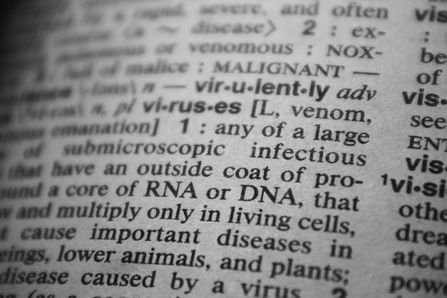 rna and dna