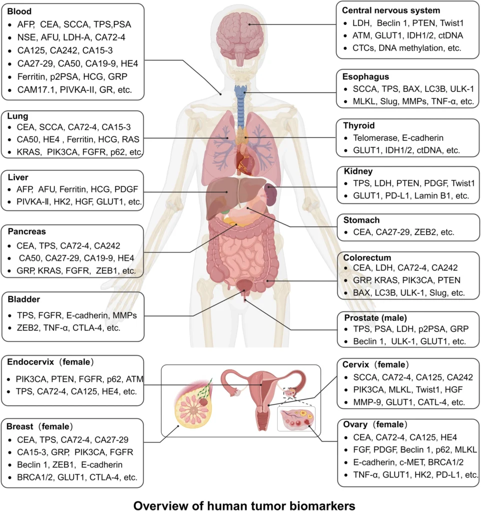 prognostic tumor biomarkers